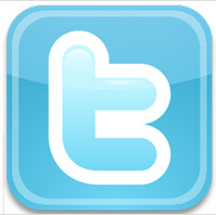 Twitter icon web