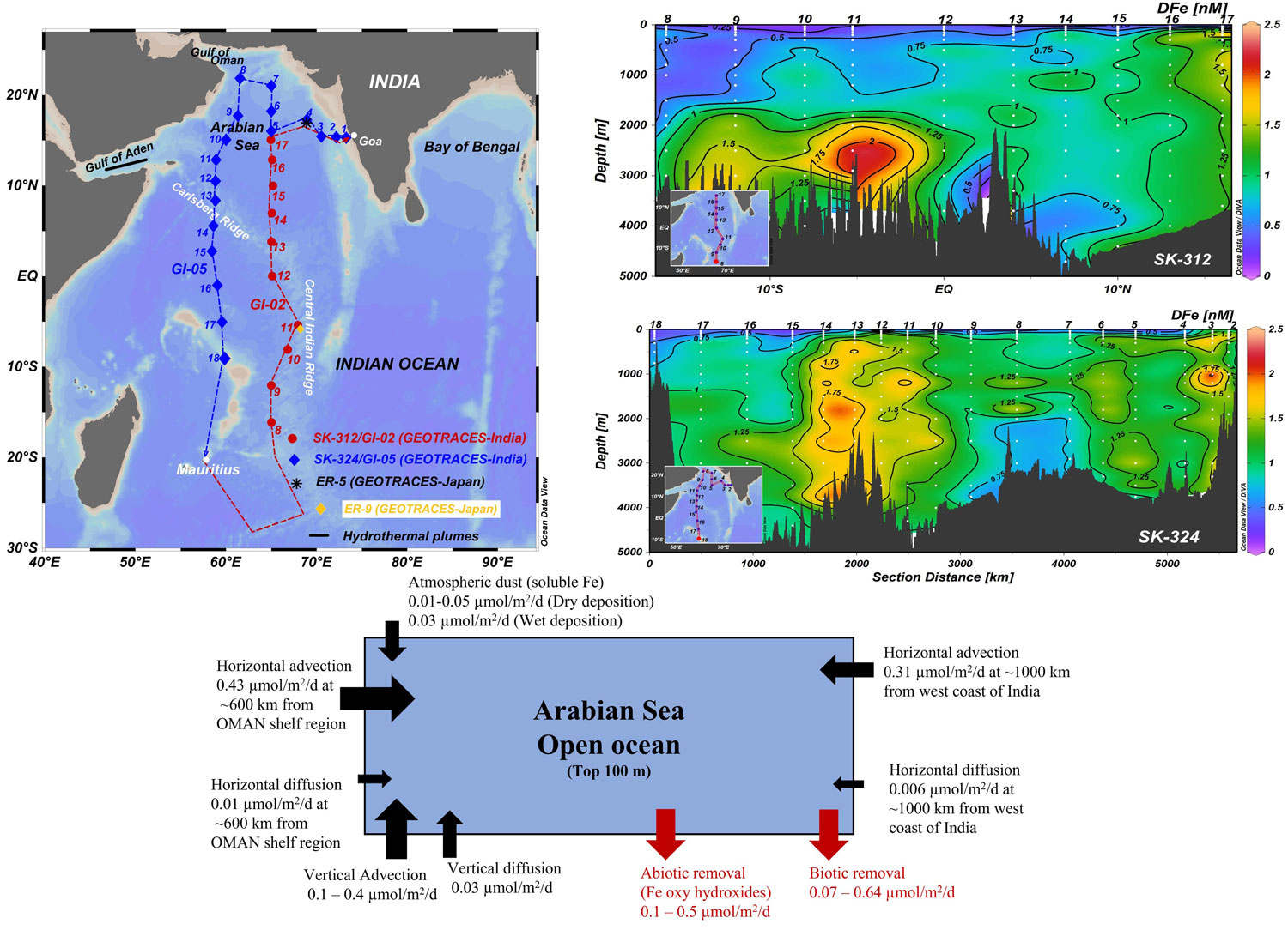 Specific features characterize the dissolved iron distribution in the