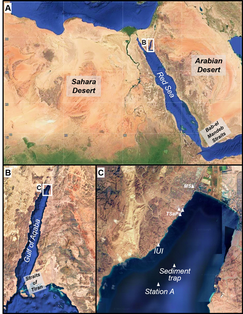 Tracing dust deposition with aluminium and silicate at a resolution