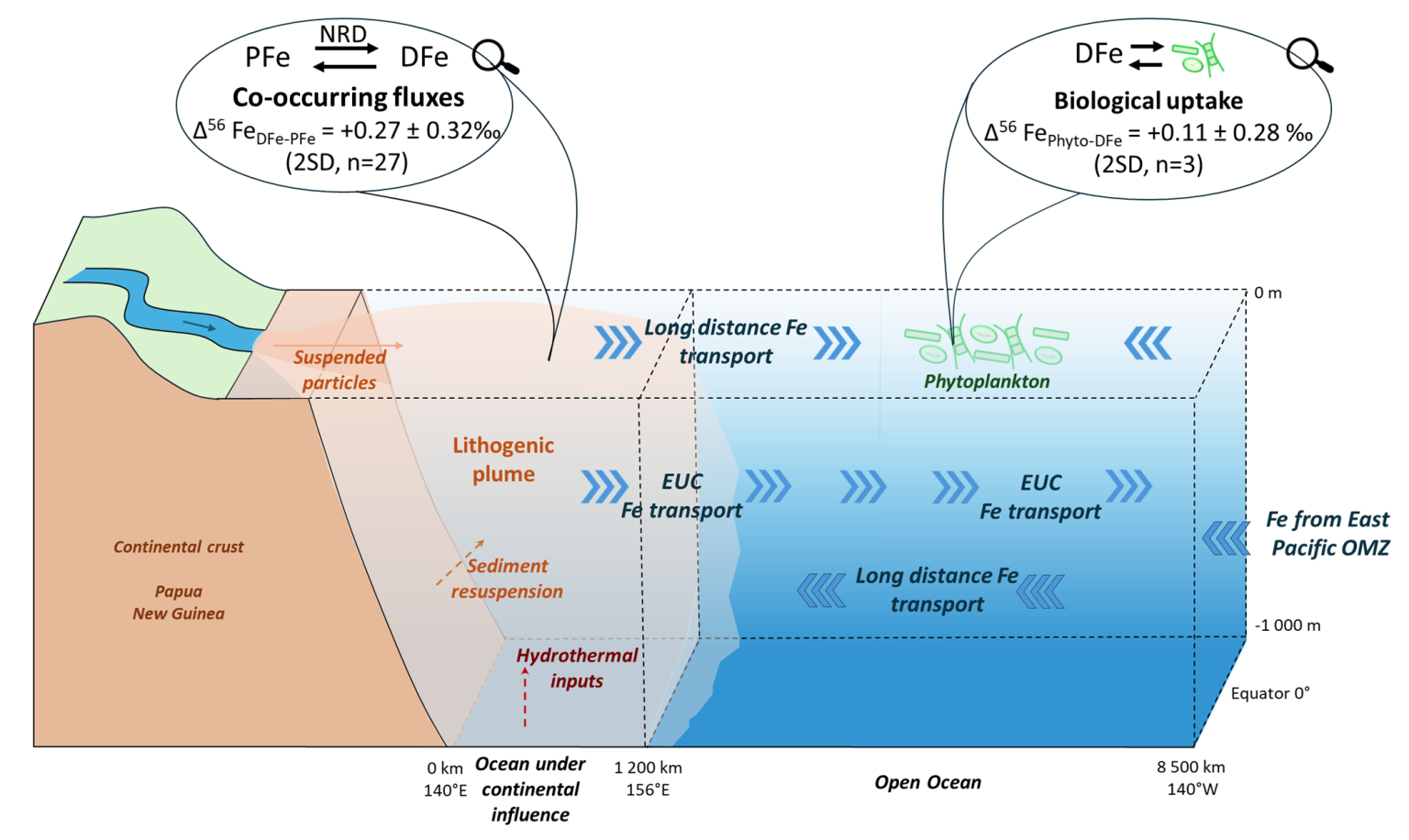 Tracing the origin of iron in the equatorial Pacific: an isotopic study ...